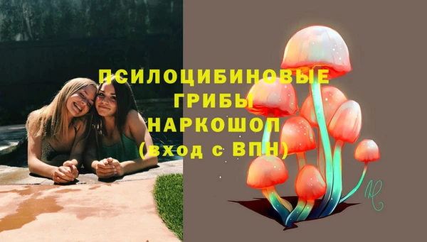 ECSTASY Алапаевск