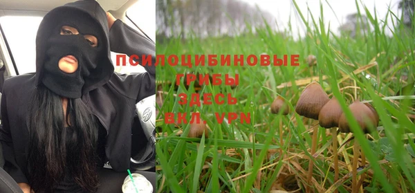 винт Аксай