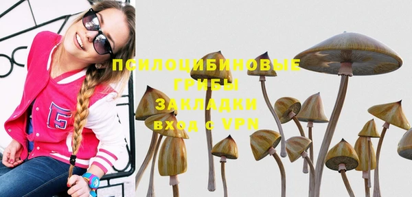 первитин Апатиты