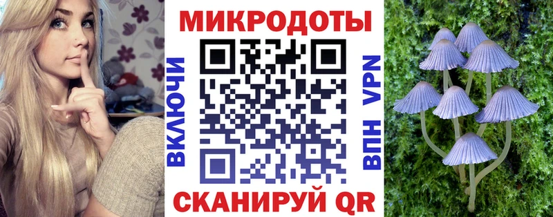 Псилоцибиновые грибы Psilocybe  Галич 
